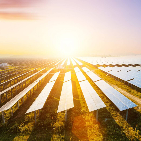 ELEKTRİK TAAHHÜT HİZMETLERİ